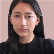 Docente frente a grupo de español, sintaxis, morfología